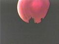 Queen.of.Blood.TVRip.1966.Xvid.by.Lost.Johnny[(019548)14-30-16].JPG